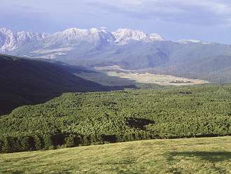 cansiglio2009